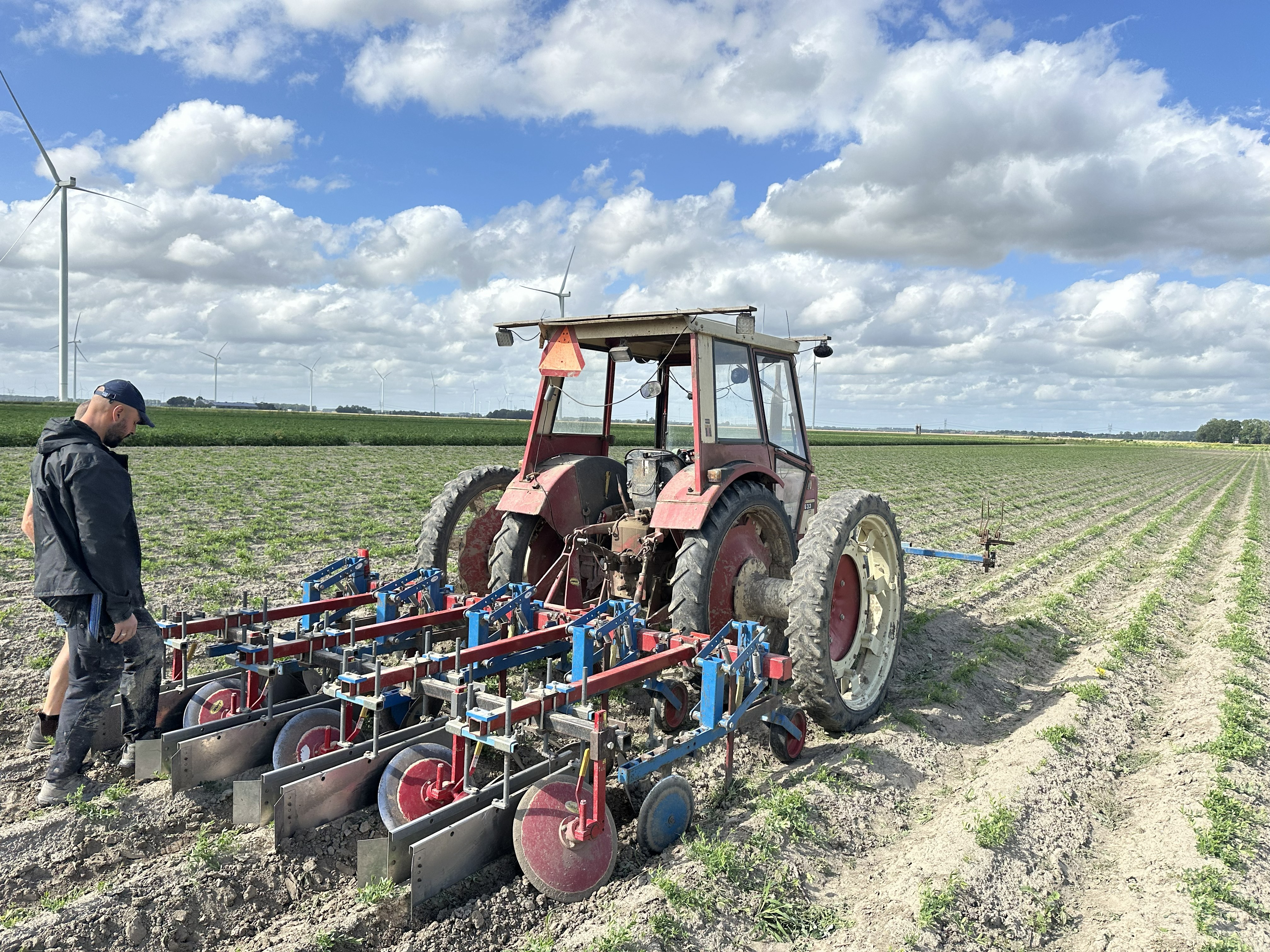 Farmer working with Aardaker crops in the field